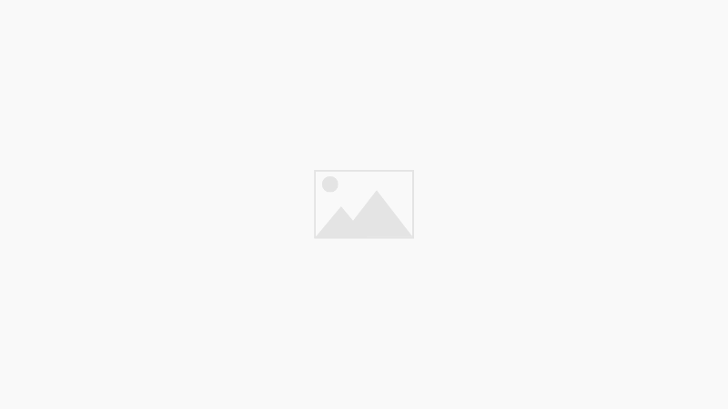 Neue Online-Spielotheken im Vergleich
